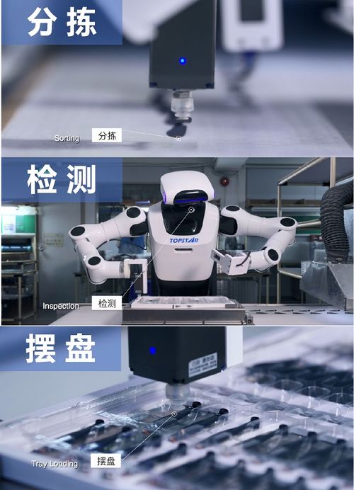 硬核實力鑄就卓越，小拓榮膺高工機器人金球獎年度產品獎