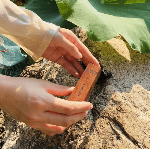 廣州軟件學(xué)院致2021屆畢業(yè)生 一份承載時(shí)光與未來(lái)的專(zhuān)屬禮物，請(qǐng)查收